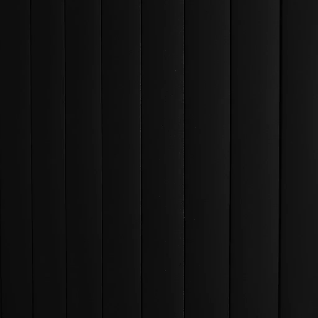 Tambour Shower Door Black
